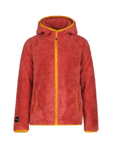 Dětská mikina ICEPEAK LOA JR 23/24