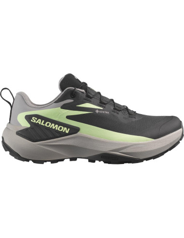 Dámské boty Salomon GENESIS GTX W 25/26