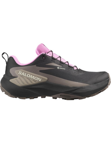 Dámské boty Salomon GENESIS GTX W 25/26