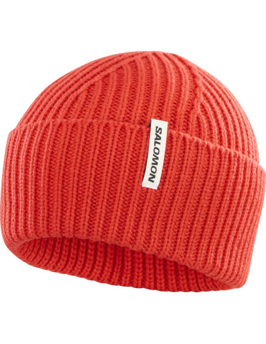 Čepice Salomon SNOWBIRD BEANIE 24/25