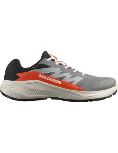 Pánské boty Salomon ALPHAGLIDE GTX 26/27